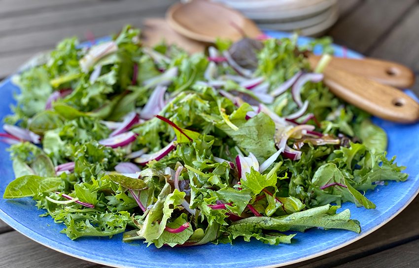 Mixed green salad with mustard dressing